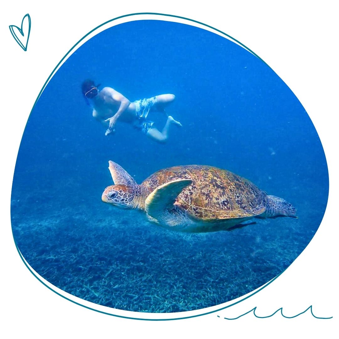 adolescent qui nage a cote d'une tortue lors du snorkeling en colonie de vacances avec zigotours