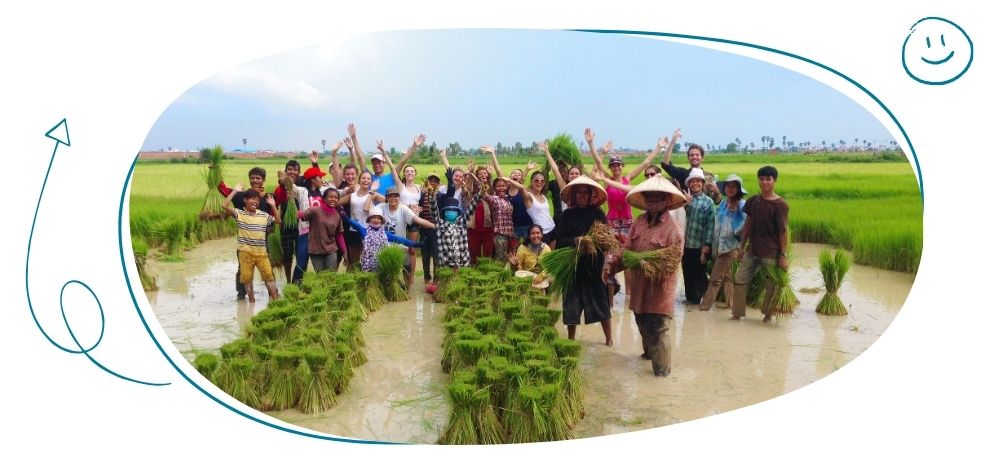 des jeunes adultes dans les plantations de riz pendant un sejours solidaire zigotours