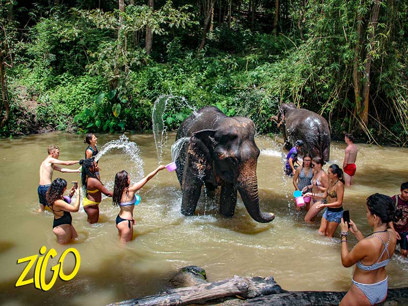 Colonie de vacances bain avec les éléphants avec Zigotours