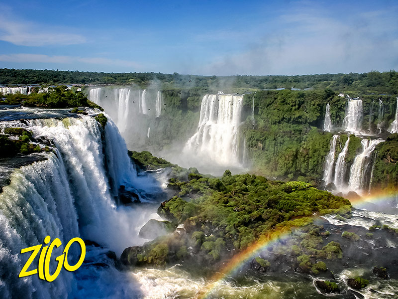 Bresil Argentine de Toulouse-1 