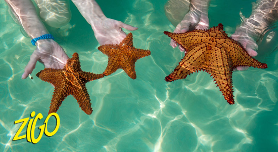 Image slider