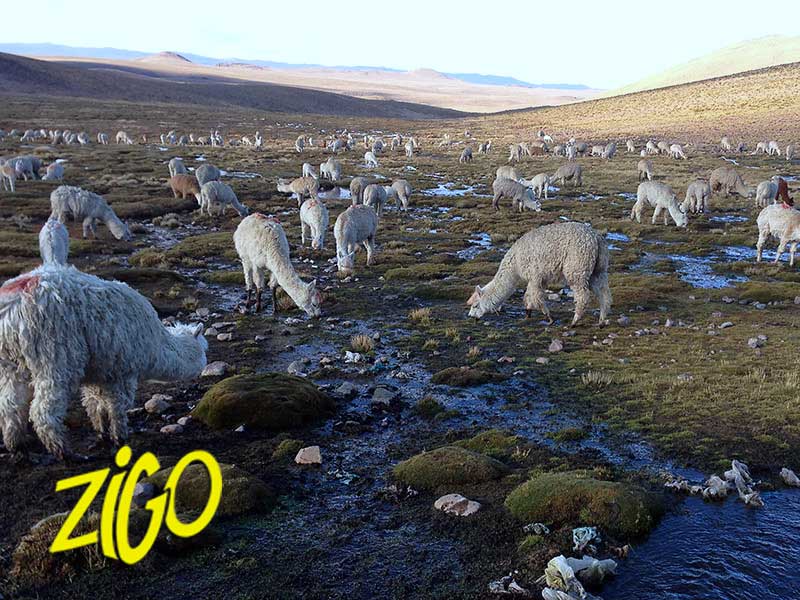 Image slider