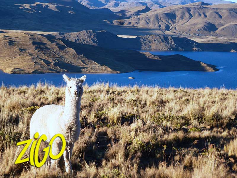 Image slider