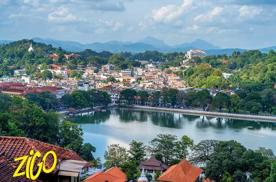 Séjour jeunes adultes au Sri Lanka