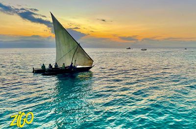 Colonie de vacances Zanzibar